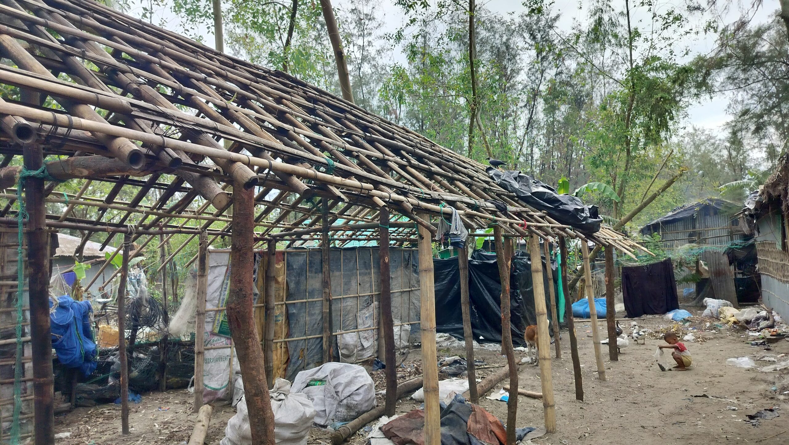 Feasibility Study of German Red Cross in Coxs Bazar and Teknaf